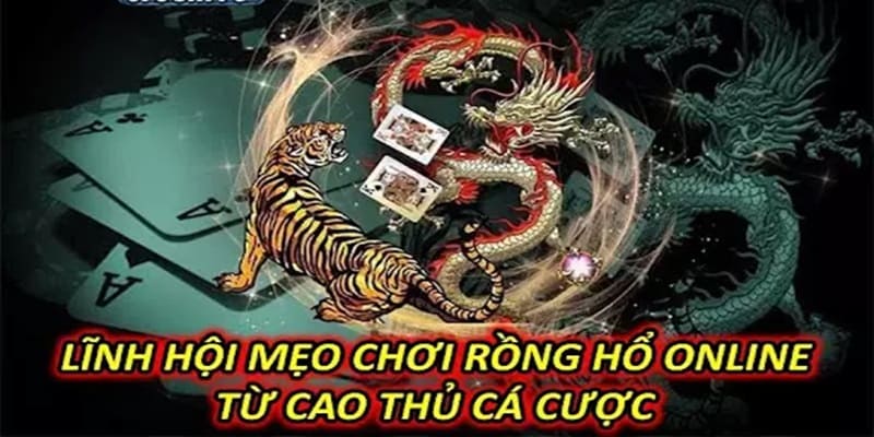 Cách chơi rồng hổ - Một số chiến thuật chơi Rồng Hổ chắc thắng