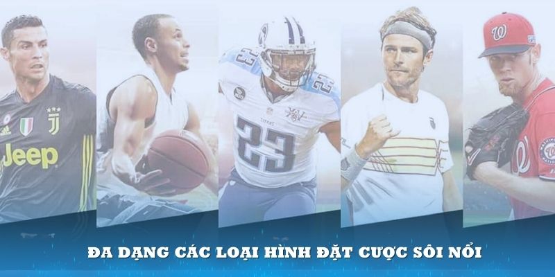 Đa dạng các loại hình đặt cược sôi nổi