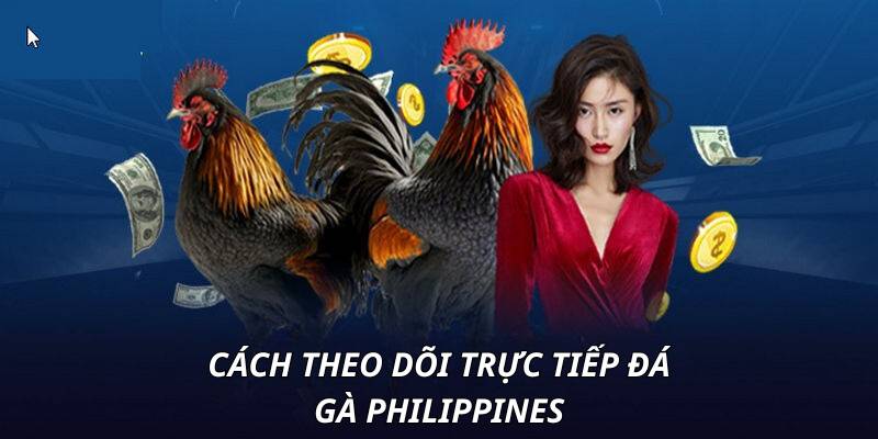 Nhiều cơ hội khi theo dõi tại 33WIN