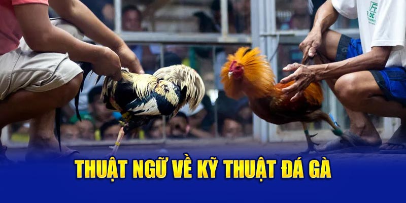 Thuật ngữ đá gà - Thuật ngữ về kỹ thuật đá kê